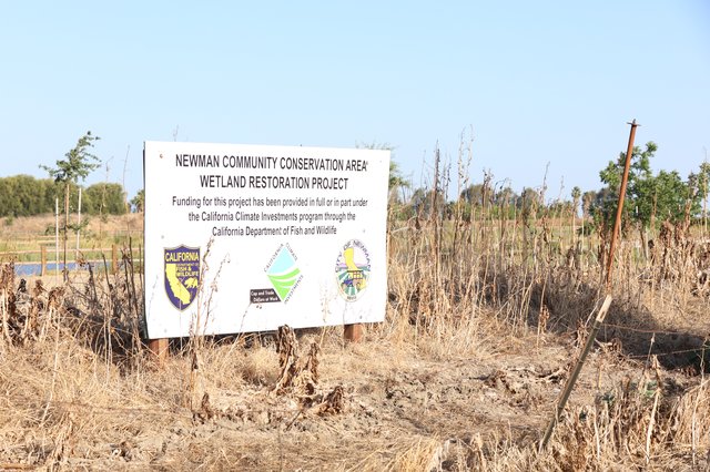 Newman Environmental Wetland System project to finish by Spring 2027