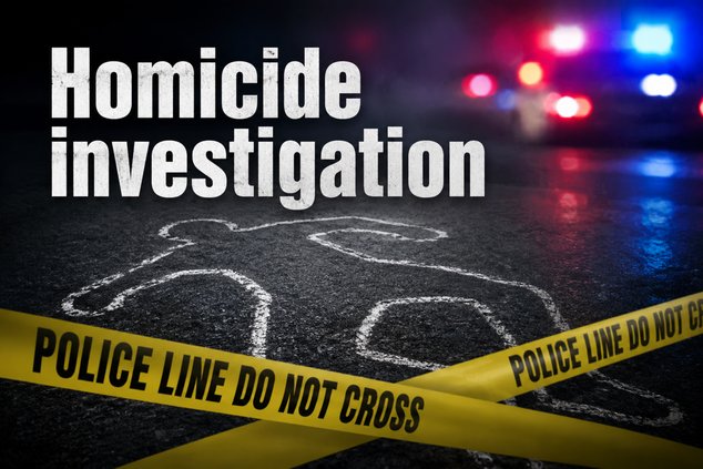 Generic homicide investigation art