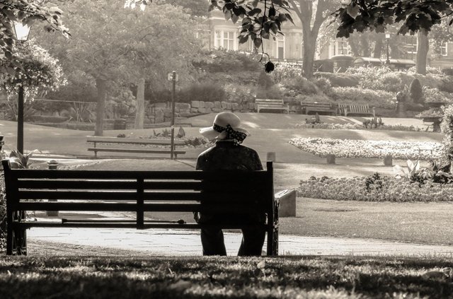 About one out of five Central Valley seniors live alone