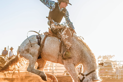 Rodeo.png