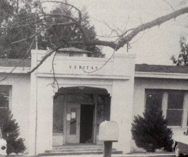 veritas school