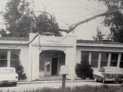 veritas school