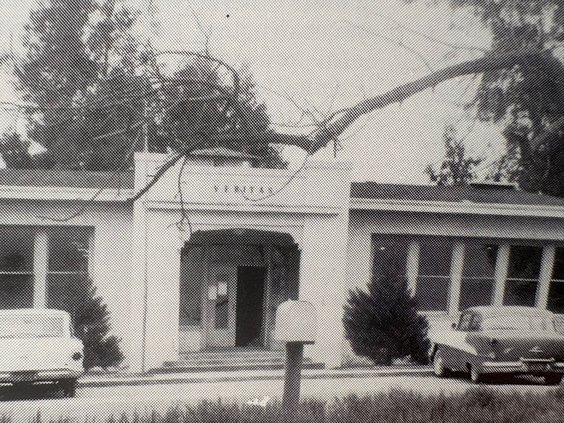 veritas school