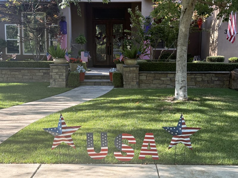 Patriotic neighborhood 3