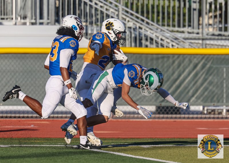 Lions All Star 2