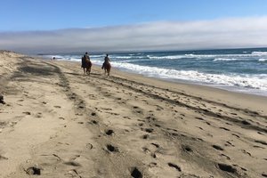 horse back
