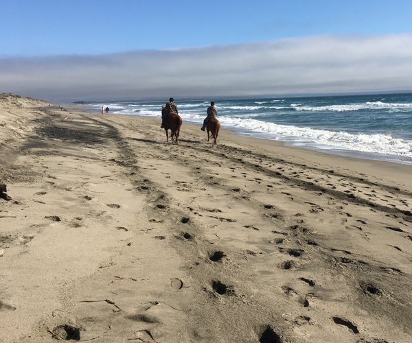 horse back