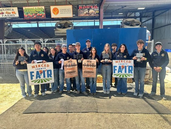 gustine ffa merced county fair 6-24
