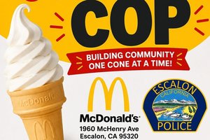 Cop cone