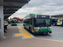 Turlock Transit