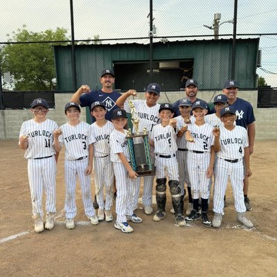 TALL Majors Yankees