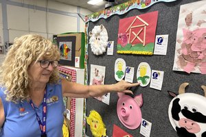 Fair preview 1