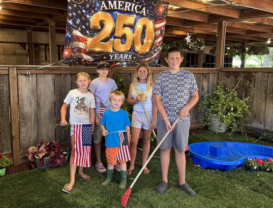 Fair1