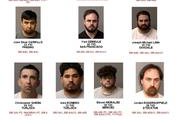 13 sex crime arrests