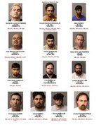 13 sex crime arrests