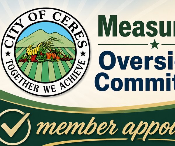 Measure H committee appointment