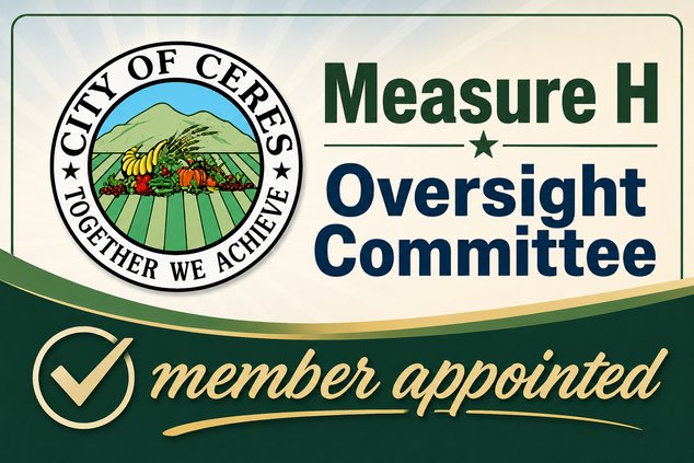 Measure H committee appointment