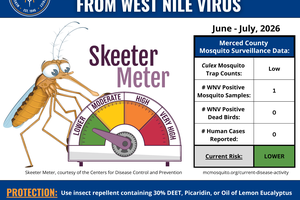 skeeter meter