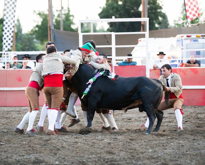 Turlock bullfighter 2