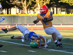 Flores 7-15