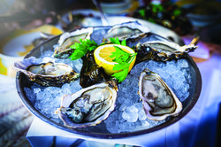 715 Oyster