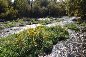 Merced River