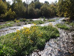 Merced River