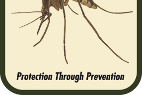 mosquito logo