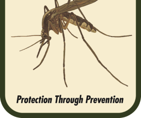 mosquito logo