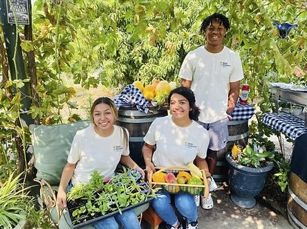 Ghetto Gardeners offer locally-grown produce boxes