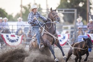 rodeo 1