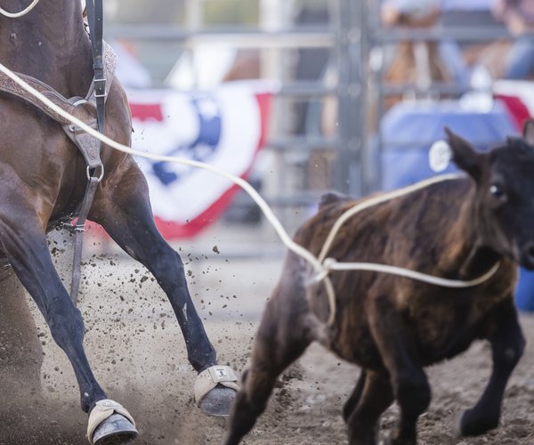 rodeo 1