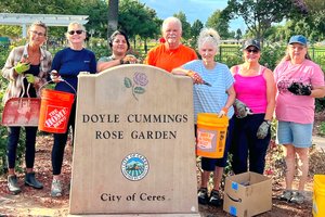Smyrna Park rose greenthumbs