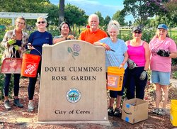 Smyrna Park rose greenthumbs