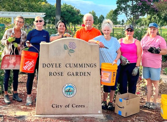Smyrna Park rose greenthumbs