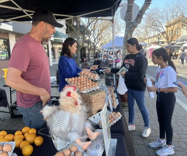 sidewalk vendors