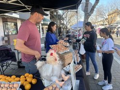sidewalk vendors