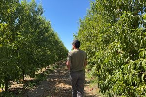 Drew Ketelson walks