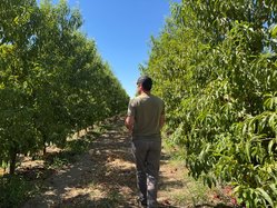Drew Ketelson walks
