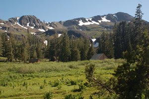 Stanislaus National Forest