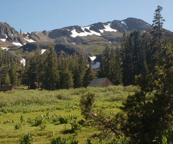 Stanislaus National Forest