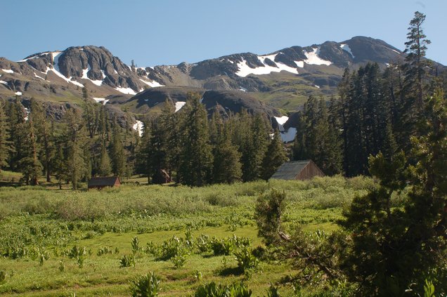 Stanislaus National Forest