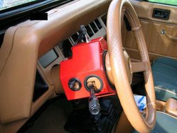auto theft