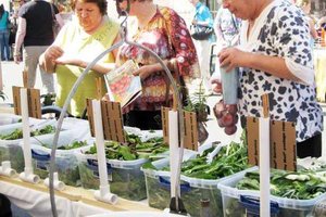 farmers market seniors
