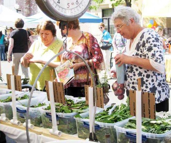 farmers market seniors