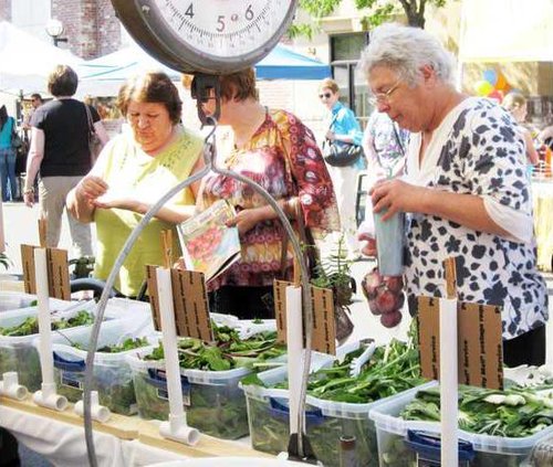 farmers market seniors