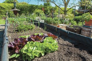 gardening