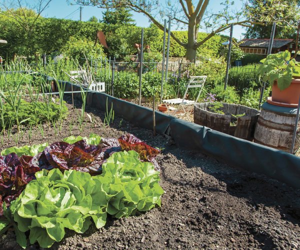 gardening