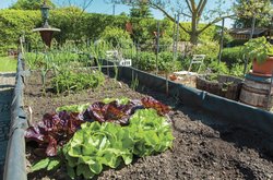 gardening