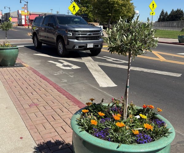 downtown planters